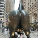 황소밧데리 이미지