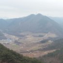 진흥농산 이미지