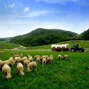 푸른비목장 이미지