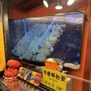 타코비 구리점 이미지