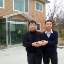 금수봉농장 Daum카페