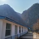 동강 기사식당 이미지