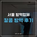 서울방역 - 성동구 | 서울 방역업체 칼콤 해충 방역 추천 및 후기