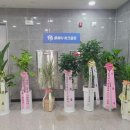 구상스크린골프(462) | 경기도 평택시 중고스크린골프 설치가격 노후상가 리모델링 후 매출 반등한 재창업 리얼 사례