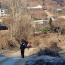 팔봉1교 다리 밑 이미지