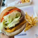 백호카워시 이미지