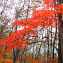 충북 제천 월악산국립공원 단풍산행 이미지