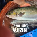 씨유대전참조은점 | 노량진 참조은수산 가성비 최고 부시리회, 4만원으로 8인분?