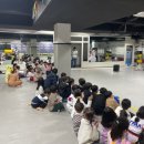 용인대 이충현 태권도장 이미지