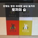 토끼랑 | 아이랑 가볼 만한 실내 강원도 동물원, 토끼의숲 체험 후기