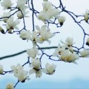 덕성 스크린골프 | &lt;오만한 정치&gt;