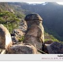 홍대전철역 5번출구 이미지