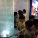 큰별초교병설유치원 이미지