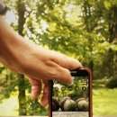 디지털 사진 편집 이미지