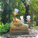 한국쿄와기린(주) | 푸꾸옥 빈펄 사파리 입장권 시간 가격 + 빈원더스 티켓 할인 팁 기린 레스토랑 찐 후기 🦒