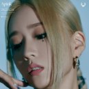 부강 합기도 이미지