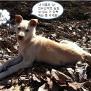 단비농장 이미지