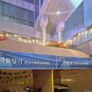 고운동_세종누리학교 | 세종시 고운동 고고 페스티벌 세종실용음악학원 공연 생생 후기