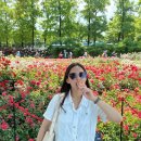 곡성-170 | 곡성 세계장미축제 후기 먹거리 기간 가수일정 입장료 놀이동산 동물원