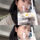 성일목장 | Carpe diem✩‧₊˚