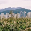 낙동강변2 이미지