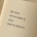 바보 멍충이 (부제:사기) 이미지