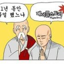 다파네 이미지