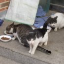 면천보건지소 이미지