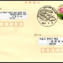 대호리 이미지