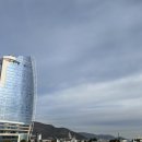 여수엑스포 홍보관 | 여수 오동도 겨울여행 가볼만한곳 | 동백열차, 자전거