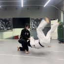 동양 합기도 무술관 이미지