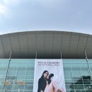나카시마미카 내한 콘서트 일요일 후기 2층 N열 고려대 화정체육관