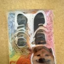 프렌치페이퍼C민박 | [12월] 겨울이 다 되어야 솔이 푸른 줄 안다