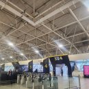 빨강궁전 | 차 : 런던공항(Gatwick)에서 시내, 포트넘앤메이슨, 버킹엄 궁전, 나이키 매장 킹스로드점, 파이브 가이즈
