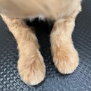 와니살롱 이미지