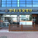영대연합동물병원 이미지