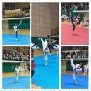 리더스 석사태권도 이미지