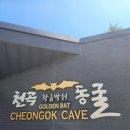 장호농장 | [8월 강원도 여행] 삼척 장호항 / 동해 한섬해변 / 천곡동굴 / 강릉 영진해변 / 양양 휴휴암