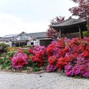 계곡힐링스카이 | 정선펜션 하늘나리펜션 구미정계곡 앞 정선단체펜션 힐링 가득한 솔직 후기