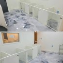 상아지네 이미지