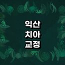 익산시 치아교정 잘하는 전문치과 병원 추천 | 비용 후기 설측교정 돌출입 앞니 투명 무턱 부분 교정기...