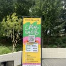 2024 나루랑 버스킹 이미지