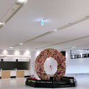 세븐일레븐 인천장기점 | 삿포로 1일차 (인천공항 장기주차장 P4, 삿포로공항에서 시내, 환전, 스프카레 스아게, 삿포로 맥주...