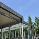 성실자원 | 마라톤 자원봉사와 마라톤 알바 차이점 솔직 후기