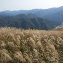 증산주유소 이미지