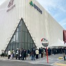 더웨이브 이미지