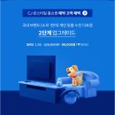 다비치안경 진해점