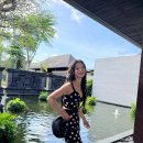 임지연 카카오 검색결과