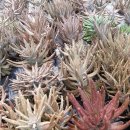 주명농장 이미지