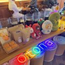 오토나(otona)
